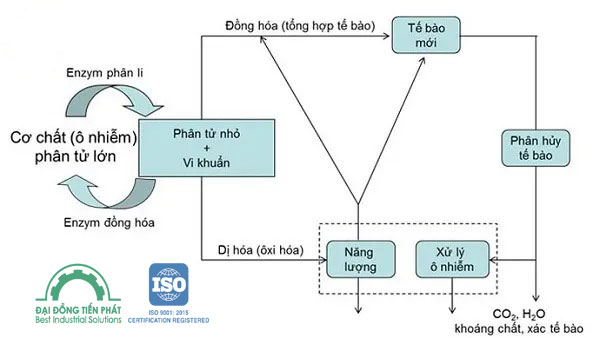 tài xỉu go88